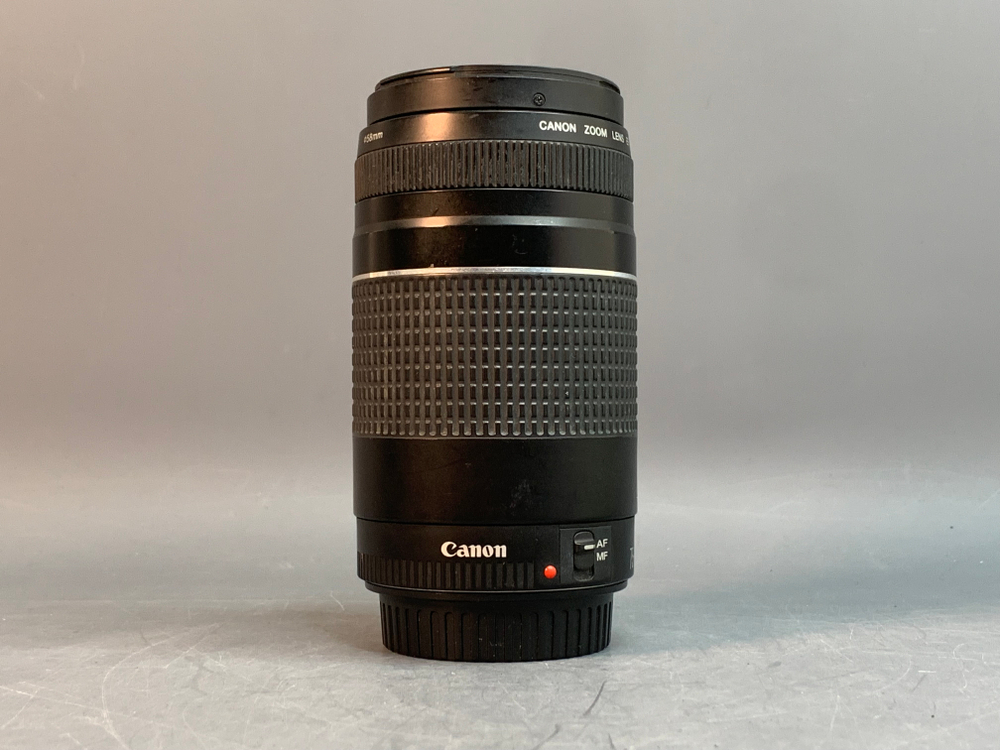 Canon EF 75-300mm 4-5.6 III