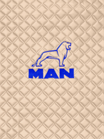Ковры MAN TGX с 2-мя ящиками (автомат) (экокожа, бежевый, бежевый кант, синяя вышивка)