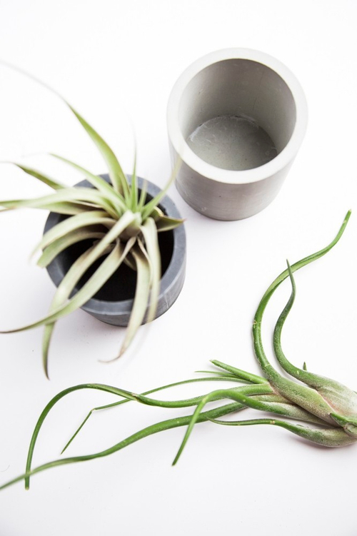 Бетонный стакан натуральный