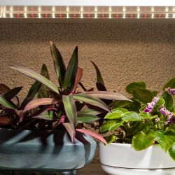 Светильник для растений, фитолампа светодиодная линейная ЭРА FITO-10W-Т5-Ra90-Slim полного спектра 10 Вт Т5