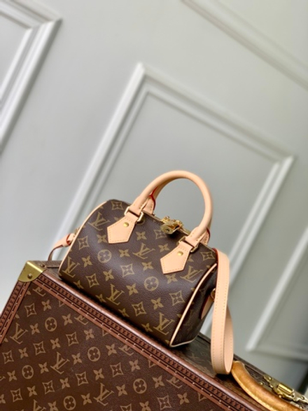 Louis Vuitton Speedy 20