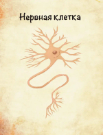 Сказочная анатомия