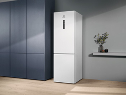 Холодильник Electrolux RNC 7ME32W2