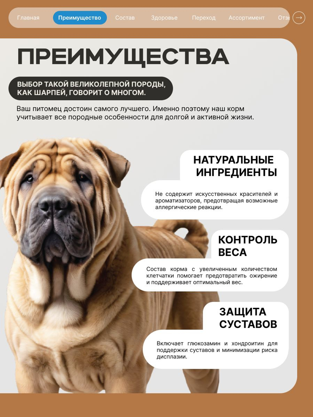 Корм сухой для взрослых собак породы Шарпей, премиум полнорационный комплекс, с лососем, 2,5 кг, QUATTRO