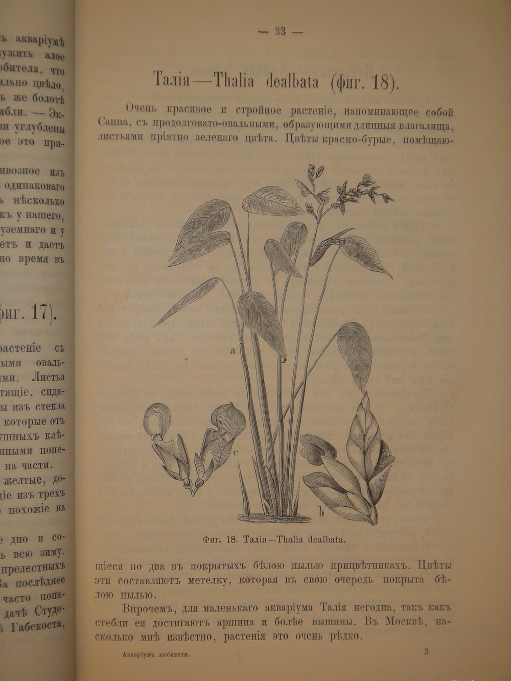 "Аквариум любителя. Подробное описание флоры и фауны аквариума, устройство аквариума, уход за ним и пр.". Н.Ф.Золотницкий. 1890г.