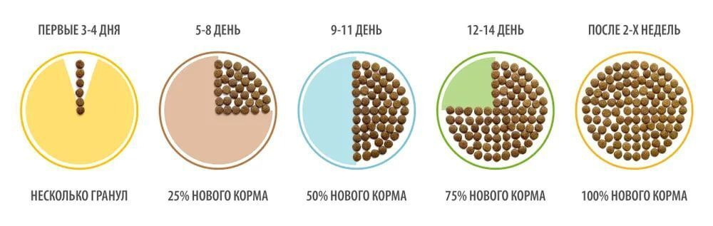 Корм для кошек сухой BRIT PREMIUM "Cat Adult Salmon" для взрослых кошек, с лососем, 8 кг