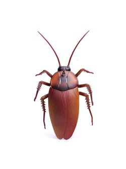 Игрушка Жук на батарейках (9916S)