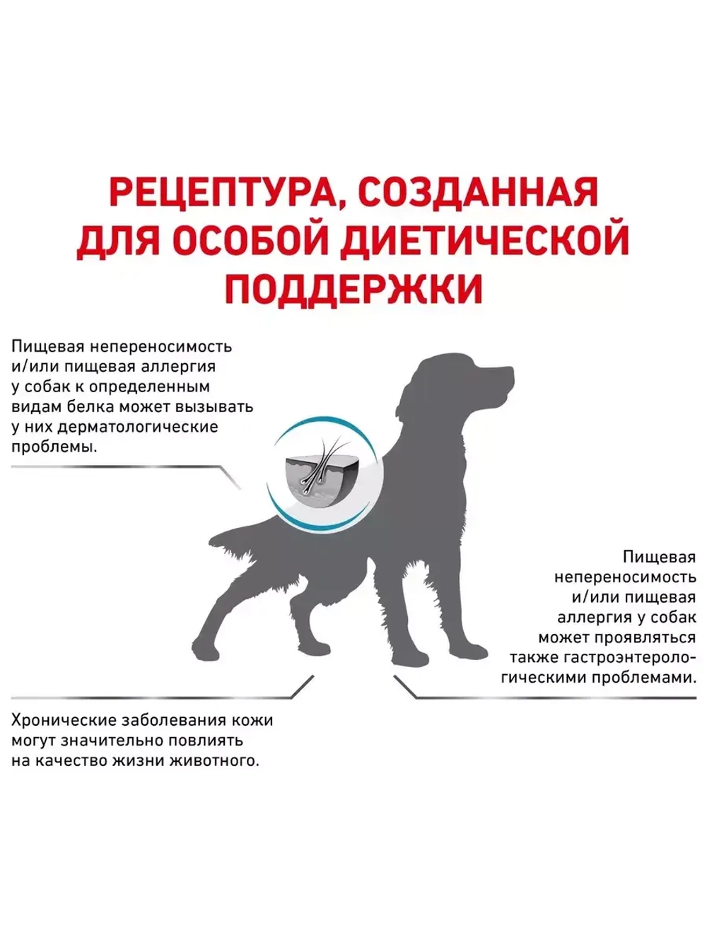Royal Canin Anallergenic (Роял Канин Аналердженик АН 18 ) корм сухой для собак 8 кг.