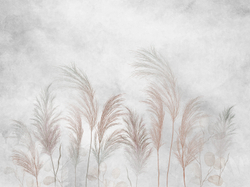 Коллекция AIR