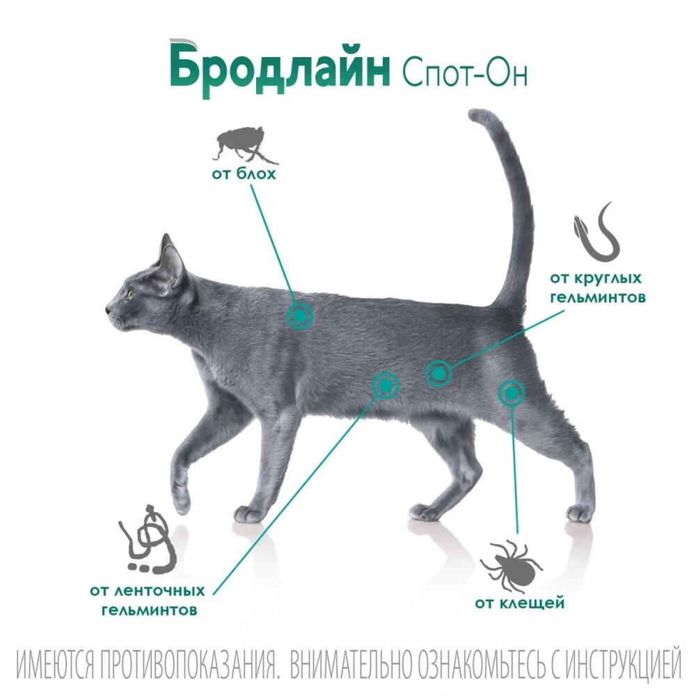 Бродлайн Спот-Он 0,9мл - капли для кошек от блох, клещей и глистов 2,5-7,5 кг