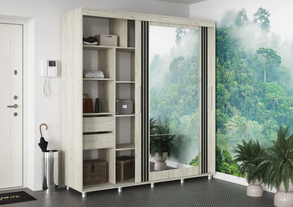 ФОРЕСТ Шкаф-купе 2,0 м