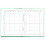 Дневник 5-11 класс 48 л., твердый, BRAUBERG, глянцевая ламинация, с подсказом, "Football", 106405