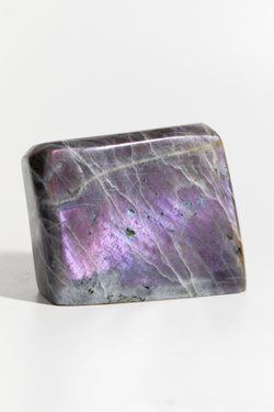 Срез Лабрадора L