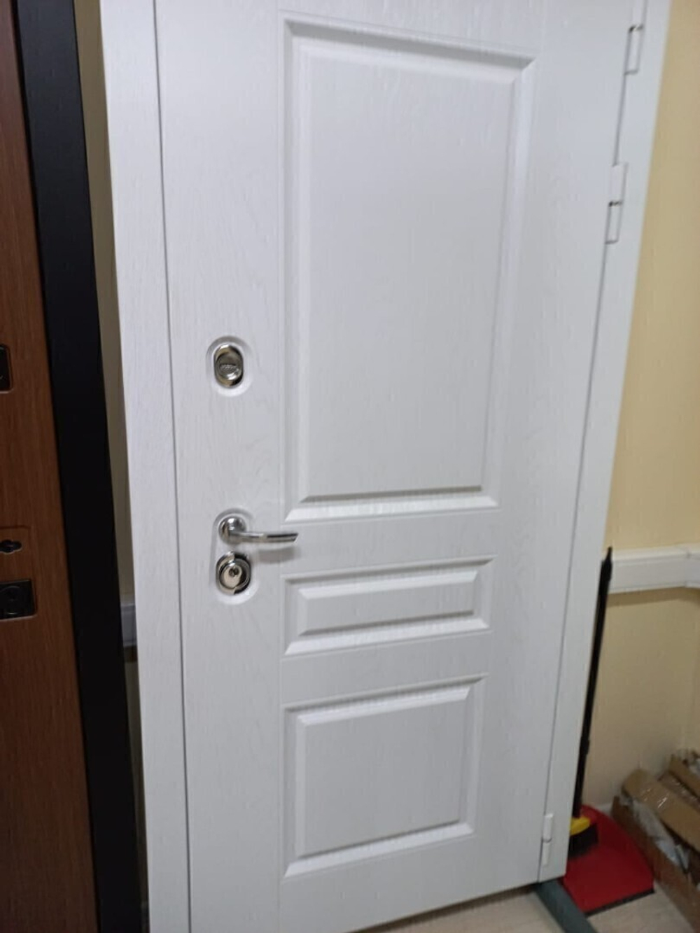 Входная металлическая дверь VERSAL (Версаль)  Альберо браш серебро /  21 Белый софт