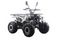 Квадроцикл MOTAX ATV Grizlik Premium 125cc