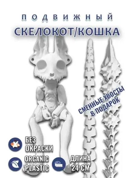 Скелет Кошки