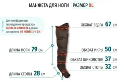 Gapo Alance Brown Аппарат для массажа и прессотерапии, комплект «Стандарт», манжеты для ног)