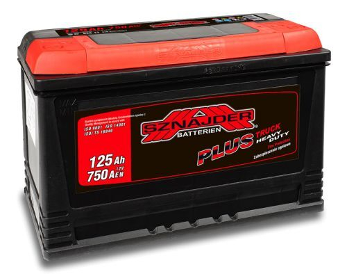 Аккумулятор 125 SZNAJDER Truck о.п. (62511) R+