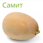 Самит F1 семена дыни (Seminis / Семинис)