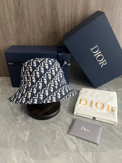 Панама Christian Dior