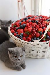 Корзина с миксом ягод "Сочное ассорти"