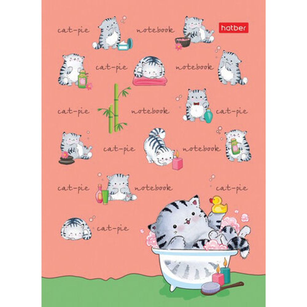 Блокнот МАЛЫЙ ФОРМАТ (105х145 мм) А6, 24 л., скоба, мелованная бумага, HATBER, "Приключения Кота" (16 дизайнов), 24Б6В1