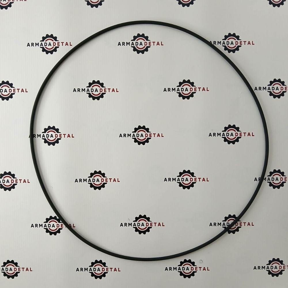 Уплотнительное кольцо Carraro 028579