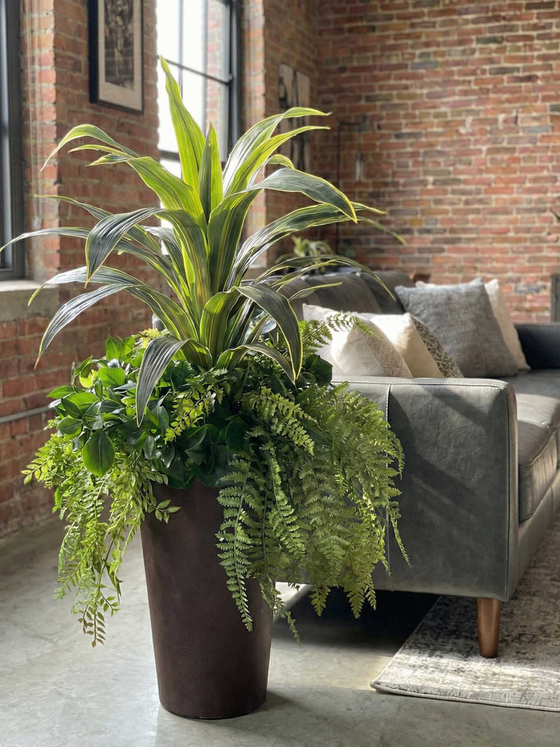 Композиция Интерьерная с драценой королевской в высоком кашпо