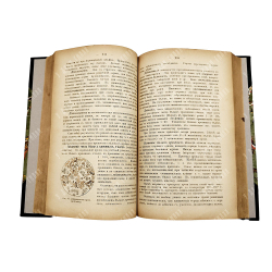 Фирордт Освальд. Диагностика внутренних болезней согласно новейшим методам исследования, 1889