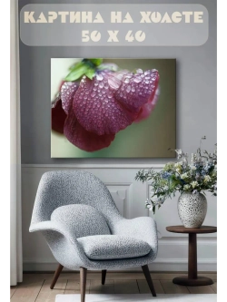 Картина на стену 40 X 50 Цветок и роса