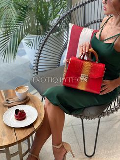 Сумка из кожи питона BG-346