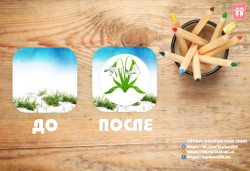 Игра с фонариком "Первоцветы"