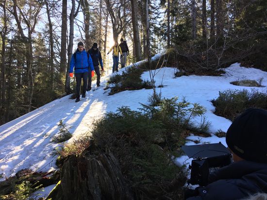 Носки водонепроницаемые DexShell Thermlite Green DS6260