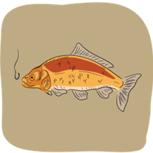 Ловля карпа/карася