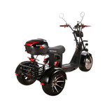 Электроскутер CityCoco SKYBOARD TRIKE BR60-3000 PRO Trike
