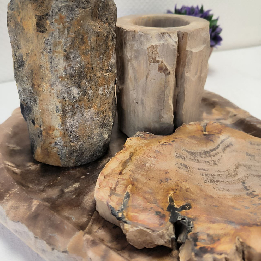Набор из окаменелого дерева 4 предм Fossil Set NF-63074 поднос 29см*36см
