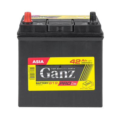 Аккумулятор GANZ PRO-Line JIS 42 А/ч прямой L+ 195x127x220 B19 EN 380 А