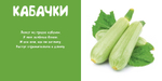 Мои овощи