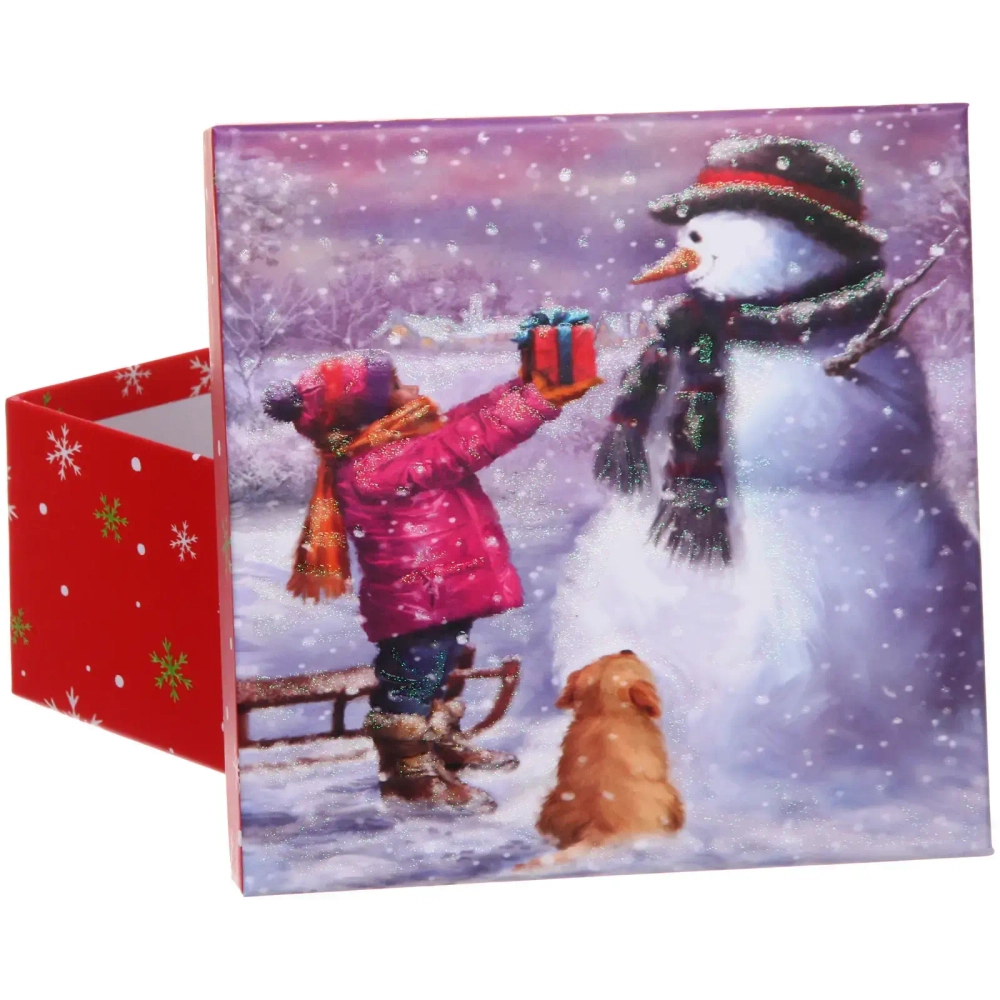 Коробка подарочная «Дед Мороз и кошка» 20*20*9,5 см