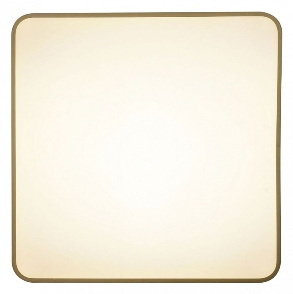 Накладной светильник Zortes Gabby ZRS.1215.04