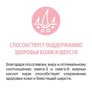 Сухой корм для взрослых кошек, Karmy Delicious, привередливых в питании, с индейкой