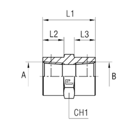 Соединение PS NPT 1/4 - NPT 3/4