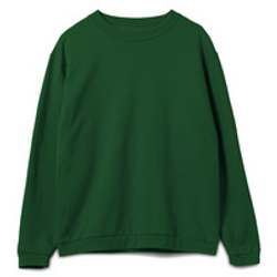 Толстовка Spider 260, темно-зеленая