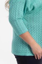 Джемпер Др4-99/3 Wisell (Акция)