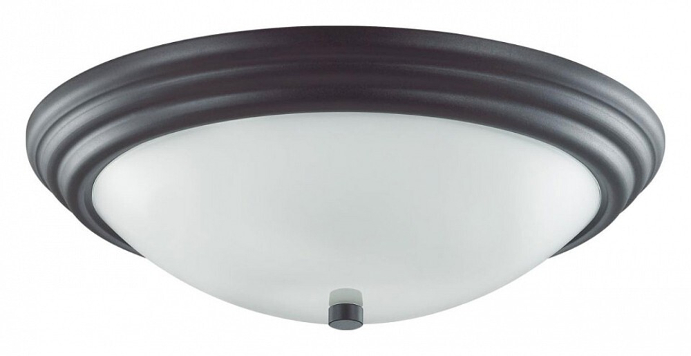 Накладной светильник Lumion 5263/3C