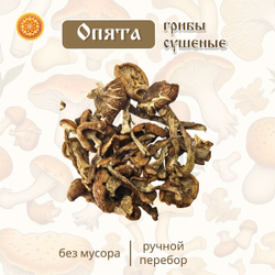 Грибы сушеные опята.