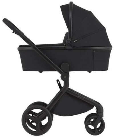 Детская коляска Anex Flo 2 в 1 Lungo