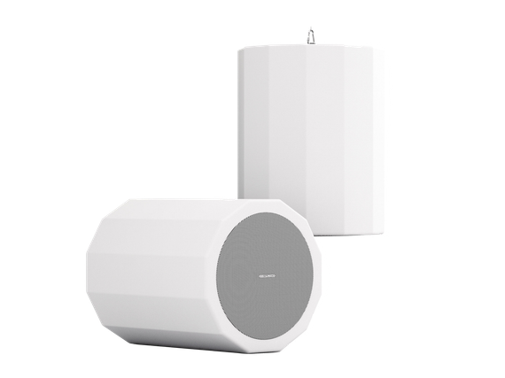 CVGAUDIO CUP5:8TW подвесная акустическая система, мощность 15/25/50W в 100V