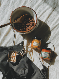 Сойка-пересмешница