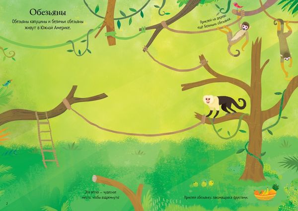 Зоопарк (супернаклейки-мини)